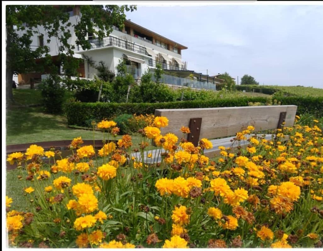 Hotel San Prudentzio Getaria Kültér fotó